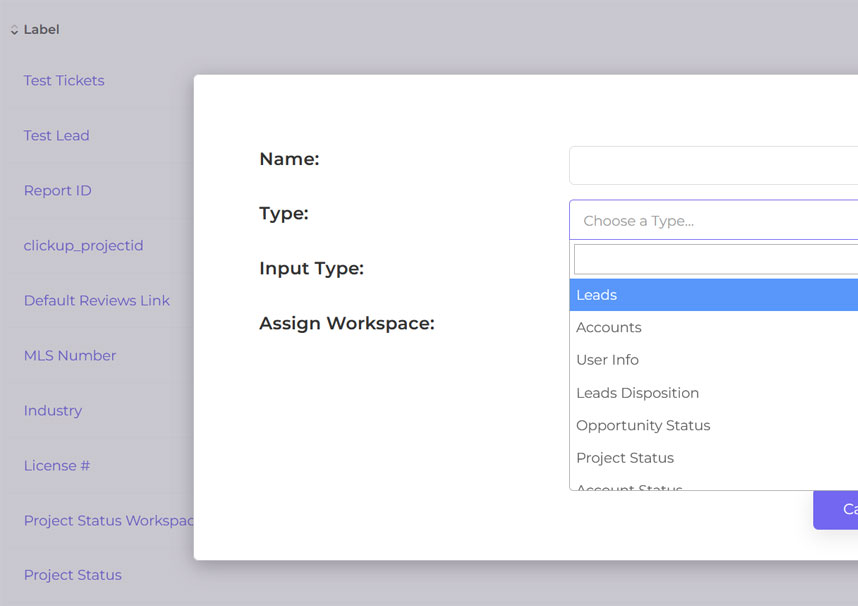 Custom Fields